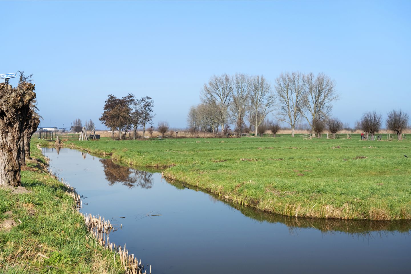 Foto 35 van Kalmoes 25