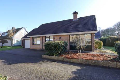 De Lepelaar thumbnail