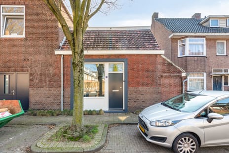 undefined main image