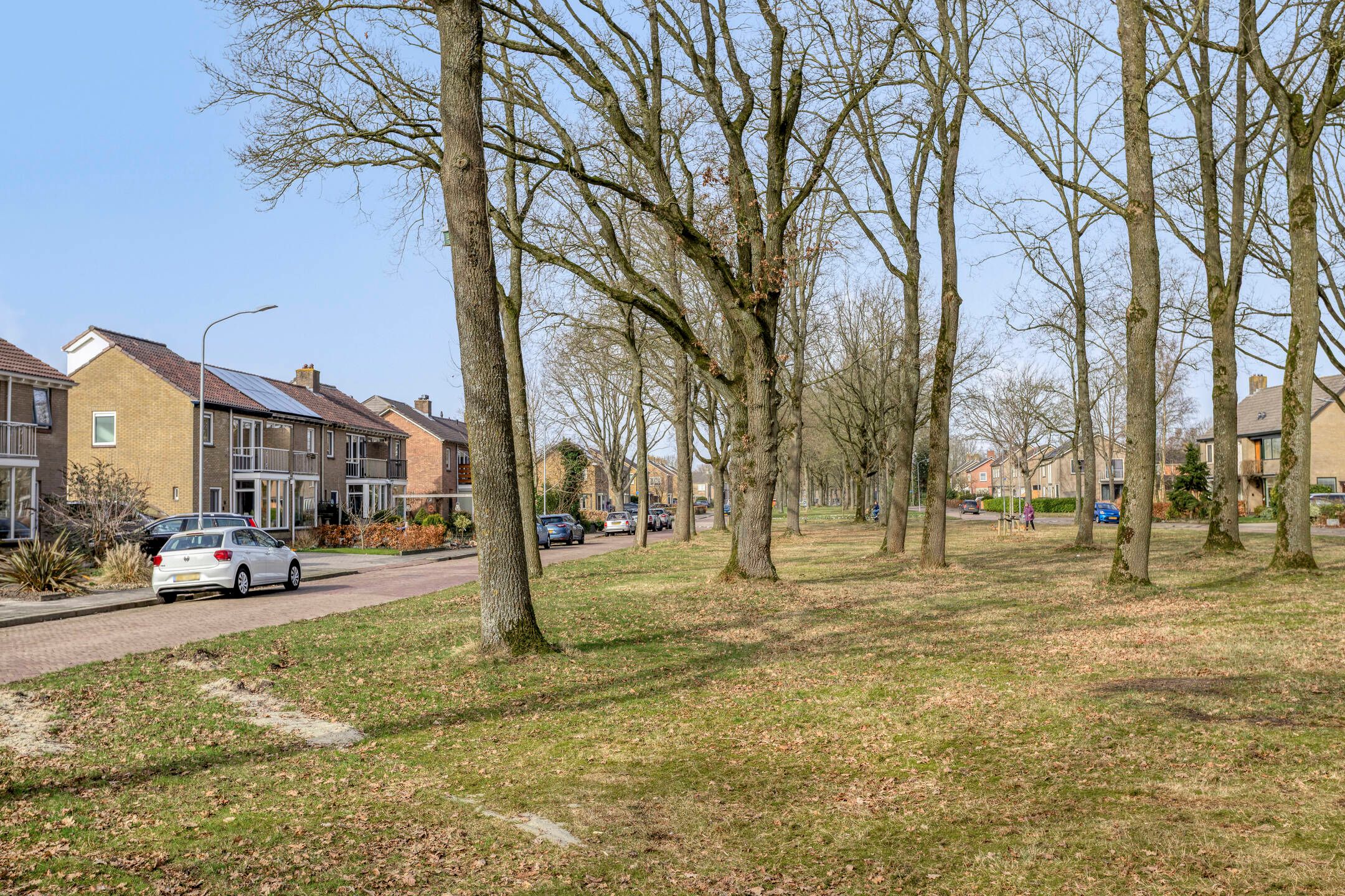 Foto 9 van Wethouder Deodatusplantsoen 10