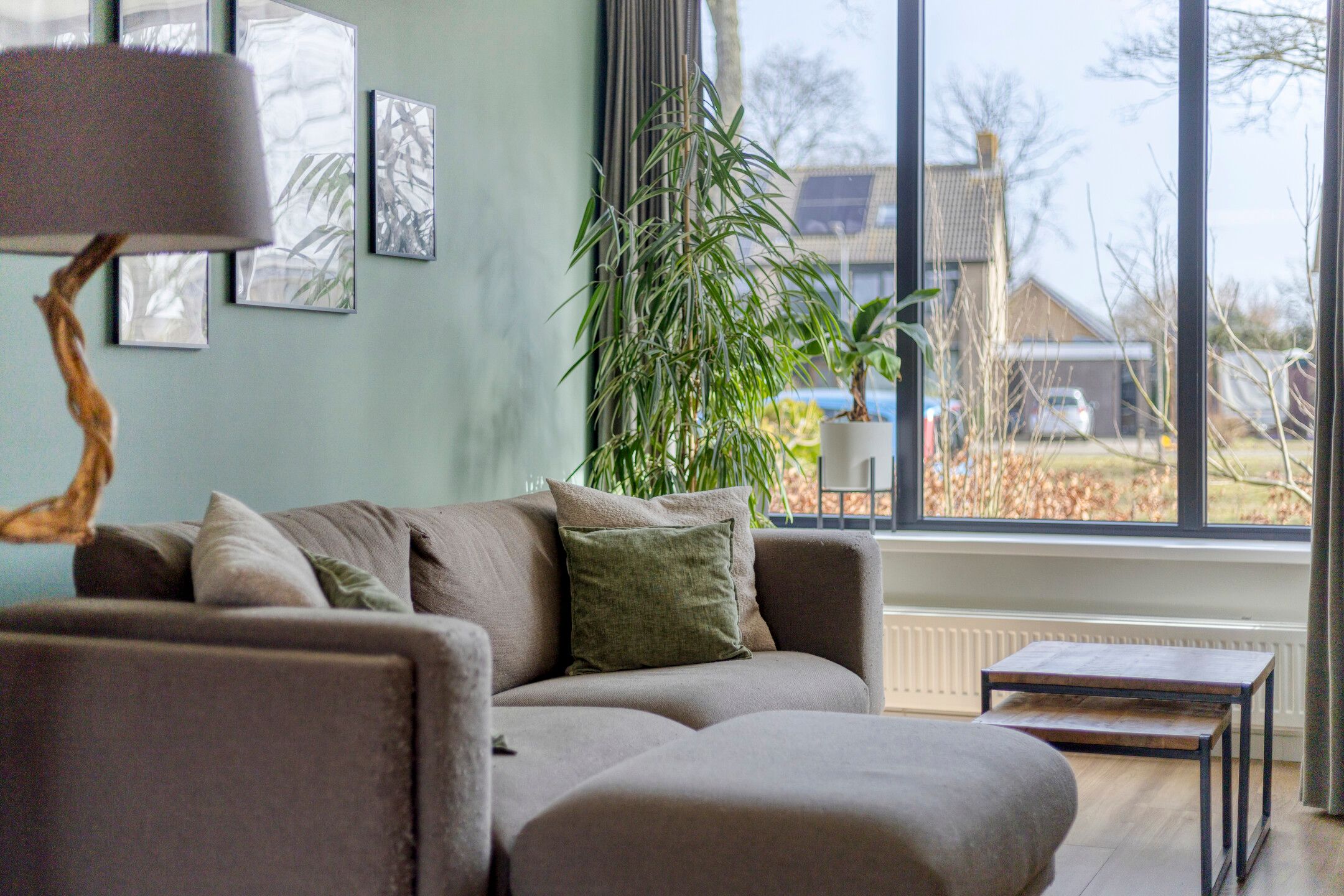 Foto 15 van Wethouder Deodatusplantsoen 10