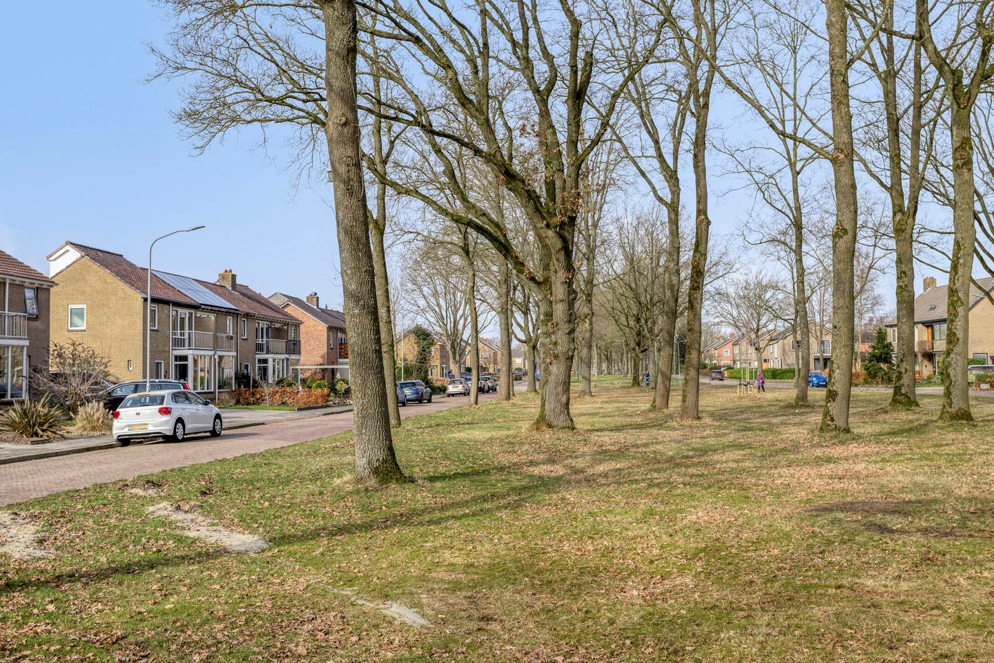 Foto 65 van Wethouder Deodatusplantsoen 10