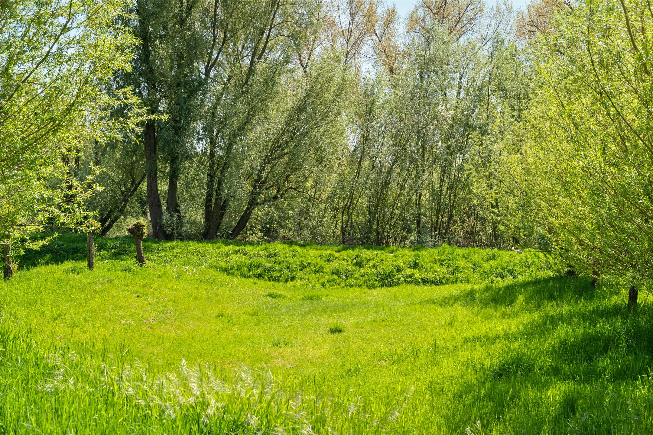 Photo 36 of Bloemstraat 2-A