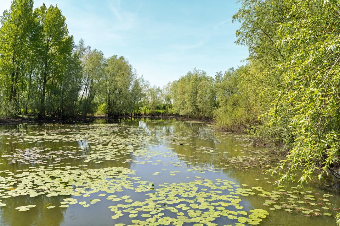 Foto 31 van Bloemstraat 2-A