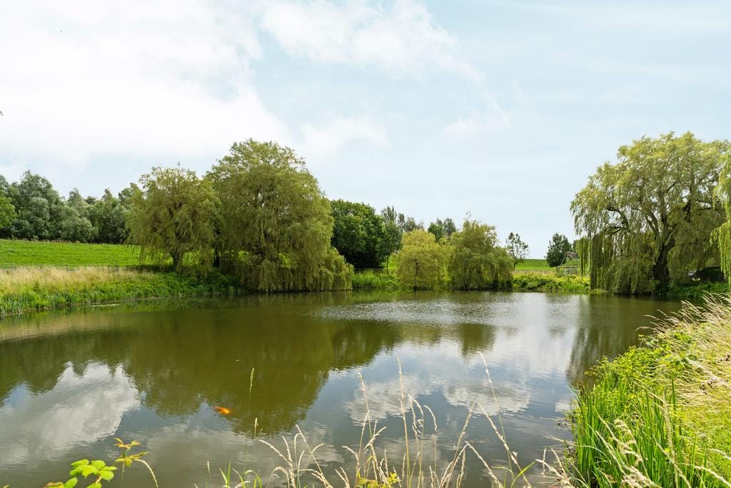 Foto 32 van Bloemstraat 2-A