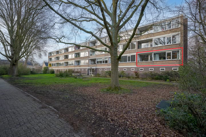 Tsjaikovskilaan 1 main image