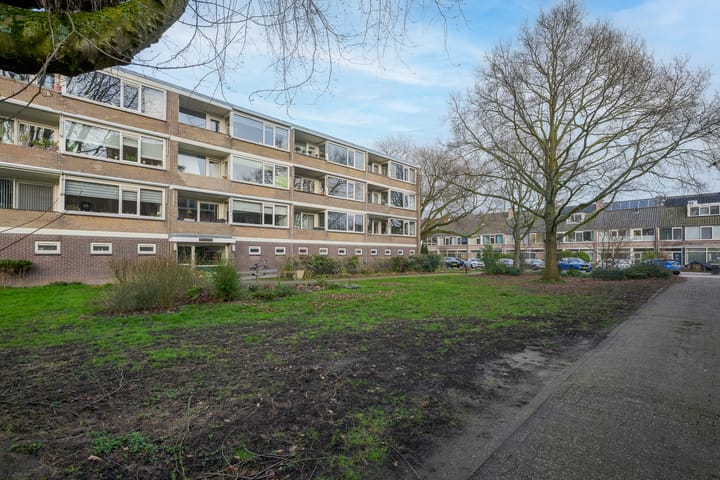 Photo 4 of Tsjaikovskilaan 1