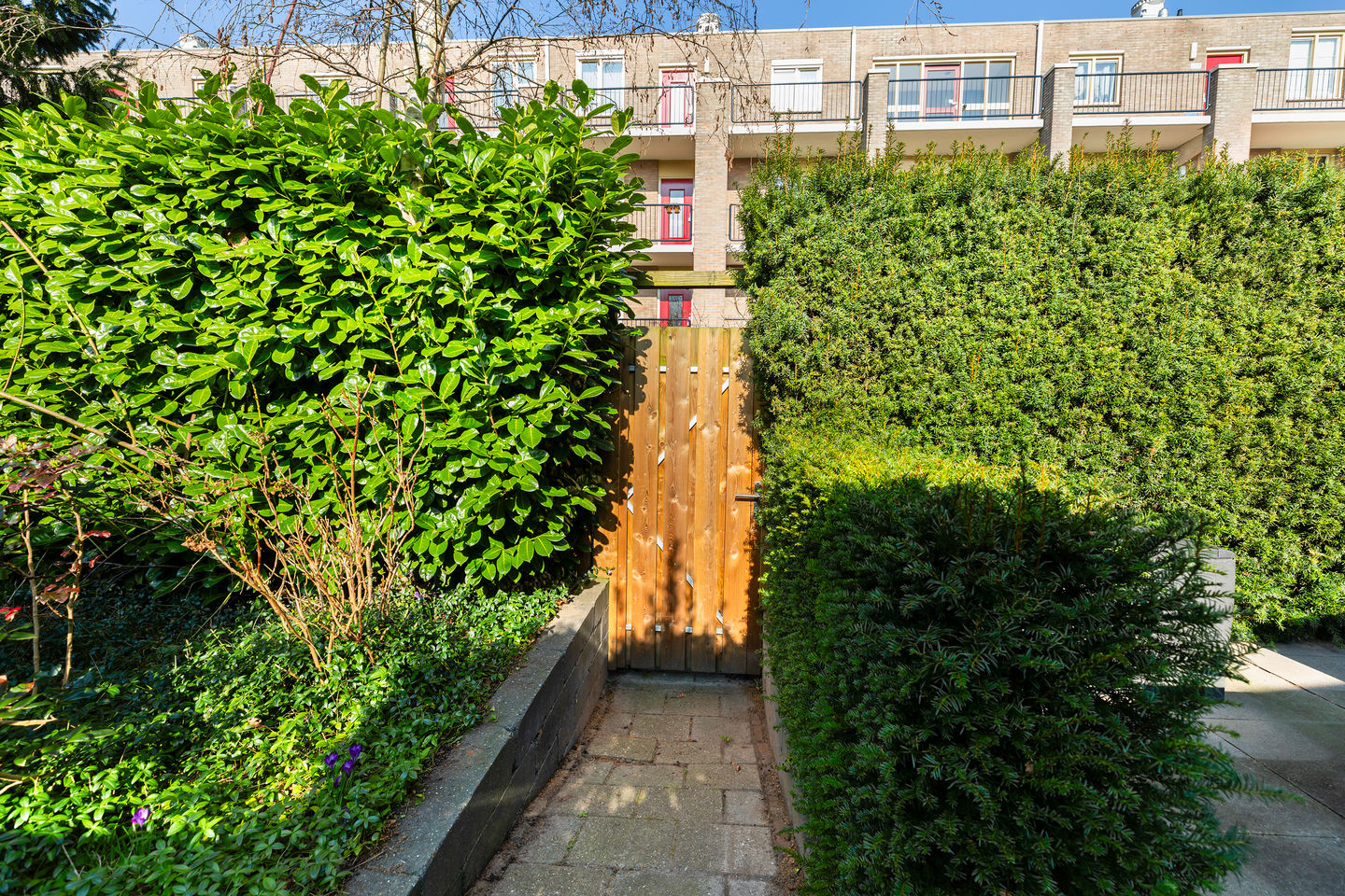 Foto 35 van Kortebeinstraat 19