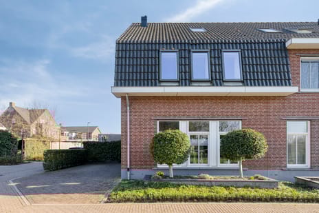 undefined main image