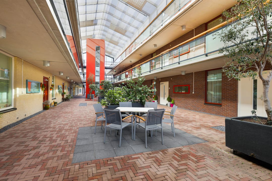 Photo 2 of Salamander 8