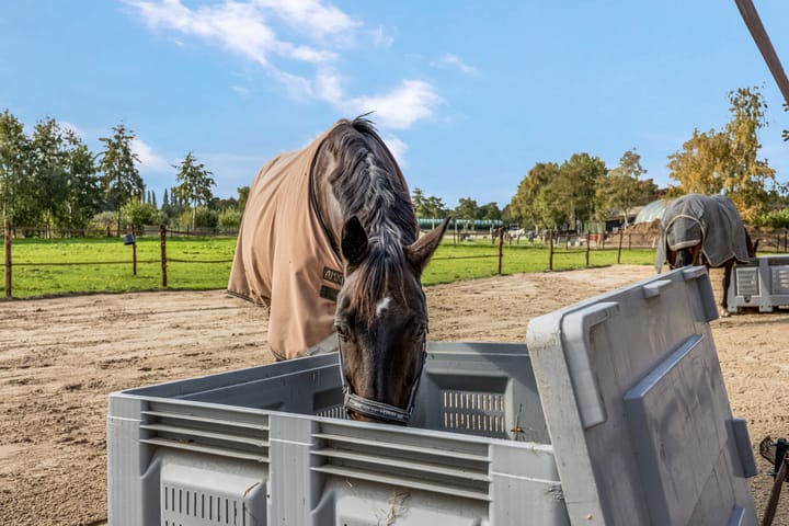 Foto 4 van Nijkerkerstraat 45