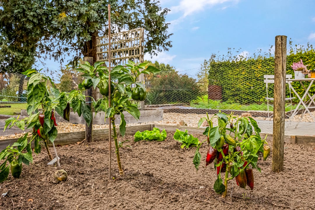 Photo 52 of Nijkerkerstraat 45