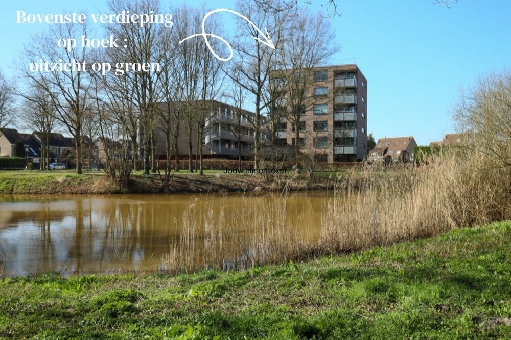 Photo 1 of Bergdreef 179