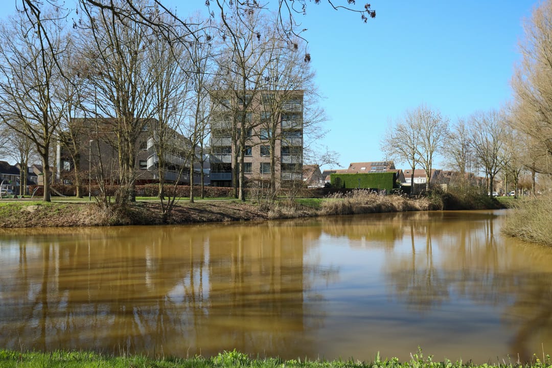 Foto 46 van Bergdreef 179