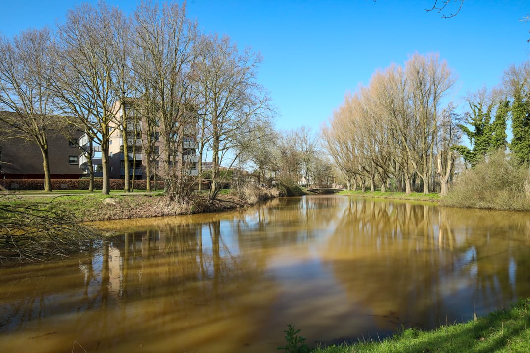 Foto 47 van Bergdreef 179