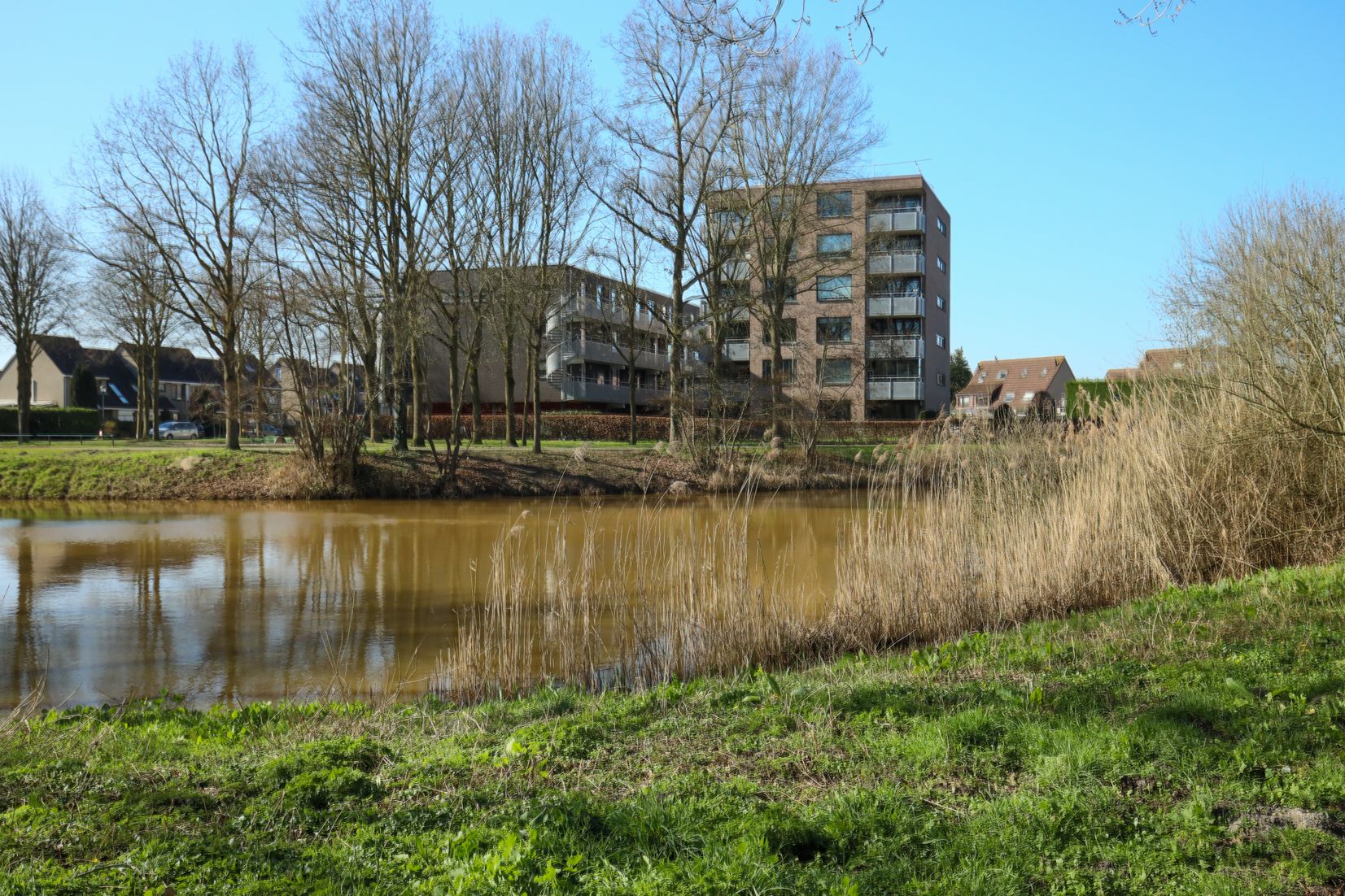 Foto 48 van Bergdreef 179