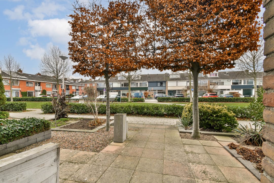 Foto 31 van Witte de Withstraat 26