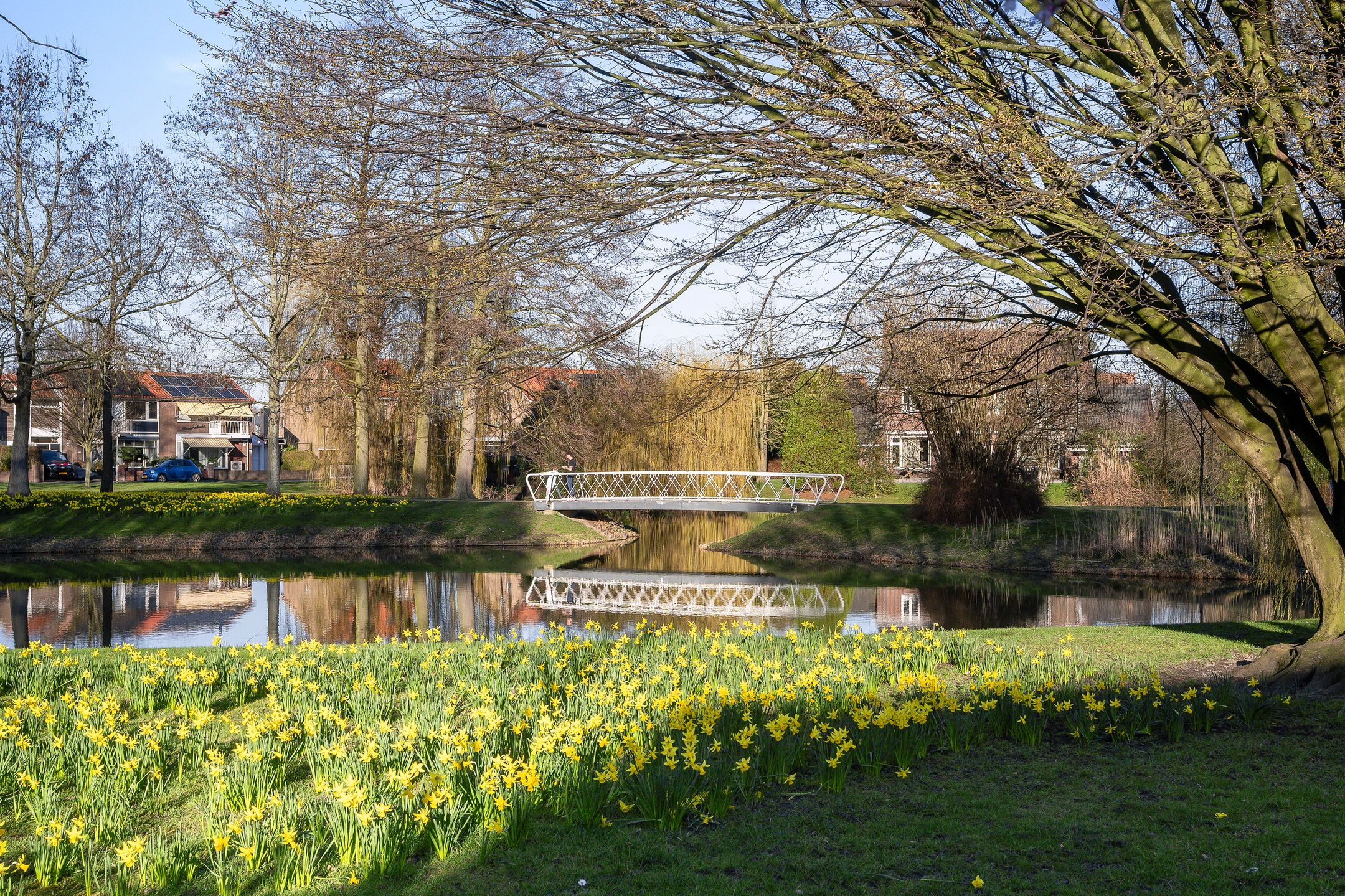 Photo 6 of van Heutszpark 49