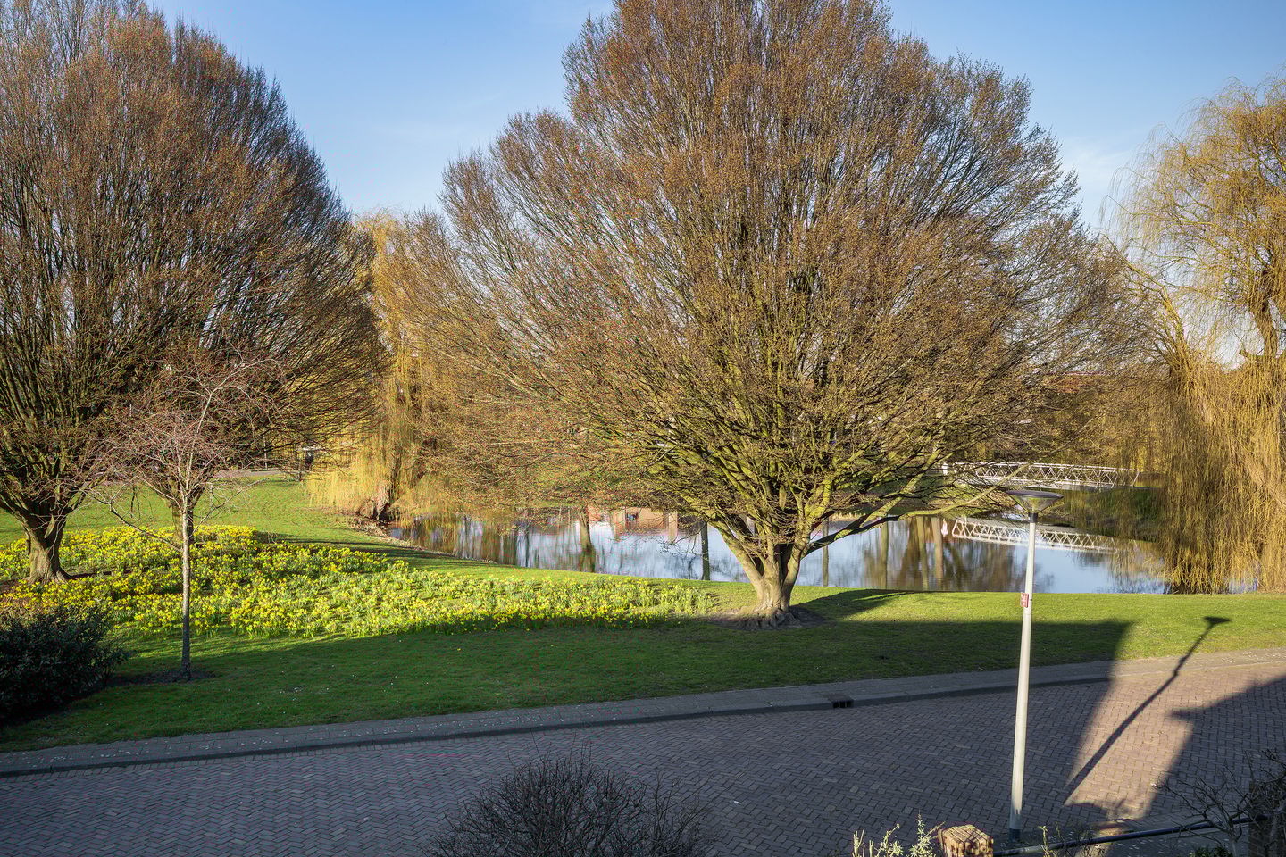 Photo 34 of van Heutszpark 49