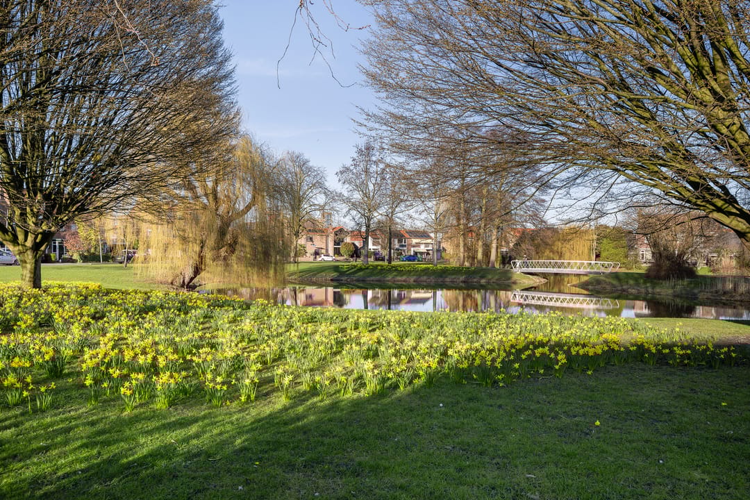 Photo 46 of van Heutszpark 49