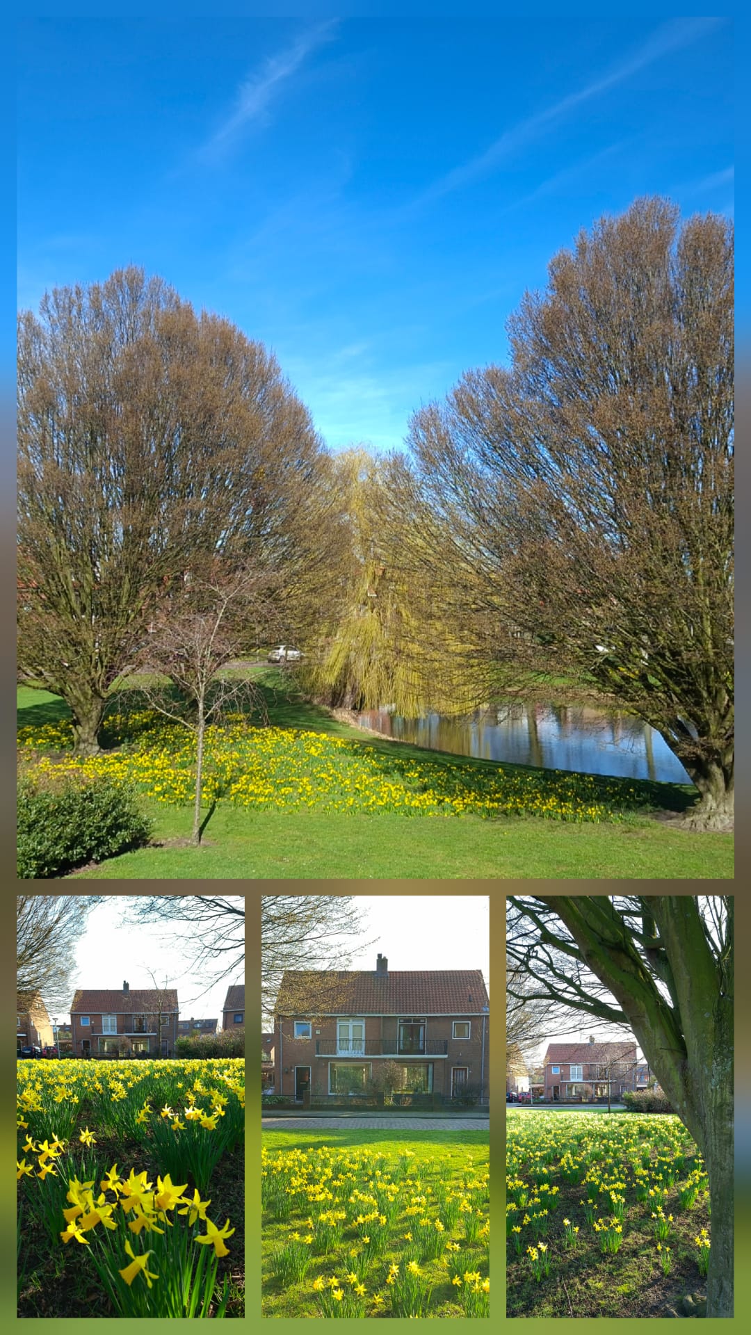 Photo 48 of van Heutszpark 49