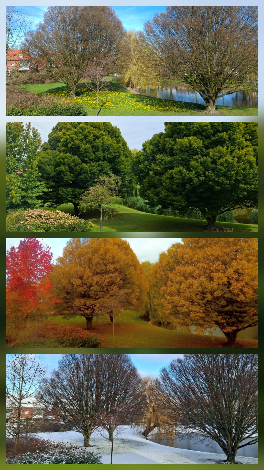 Photo 49 of van Heutszpark 49