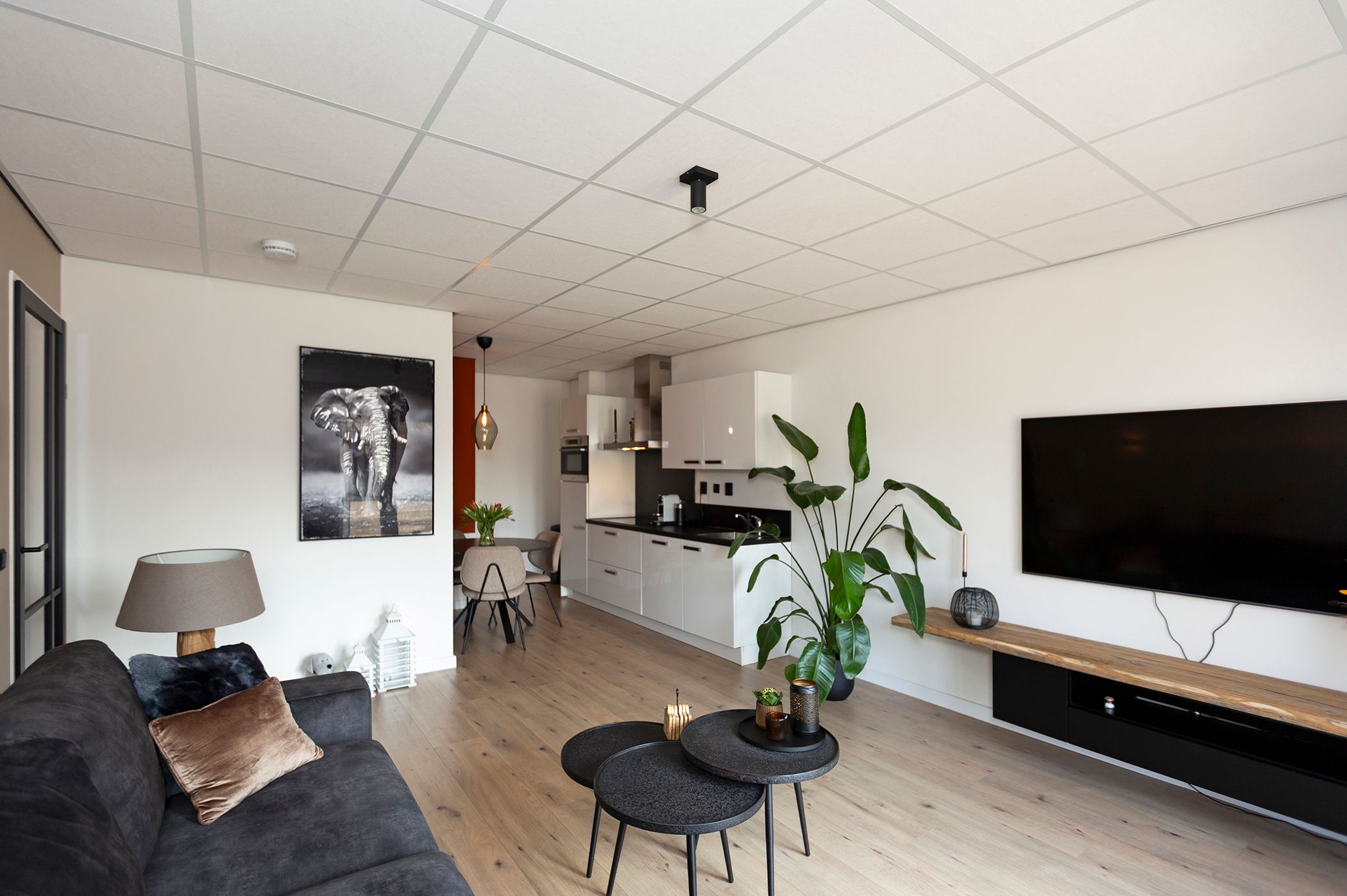 Photo 9 of Brongouw 60-H