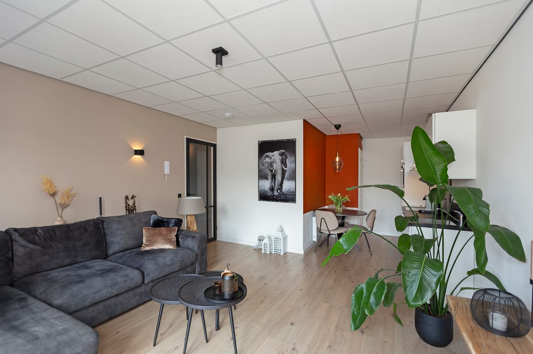 Photo 11 of Brongouw 60-H