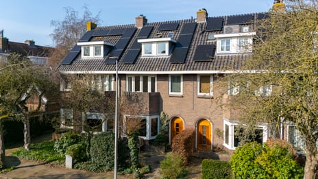 Prof. Hugo de Vrieslaan thumbnail