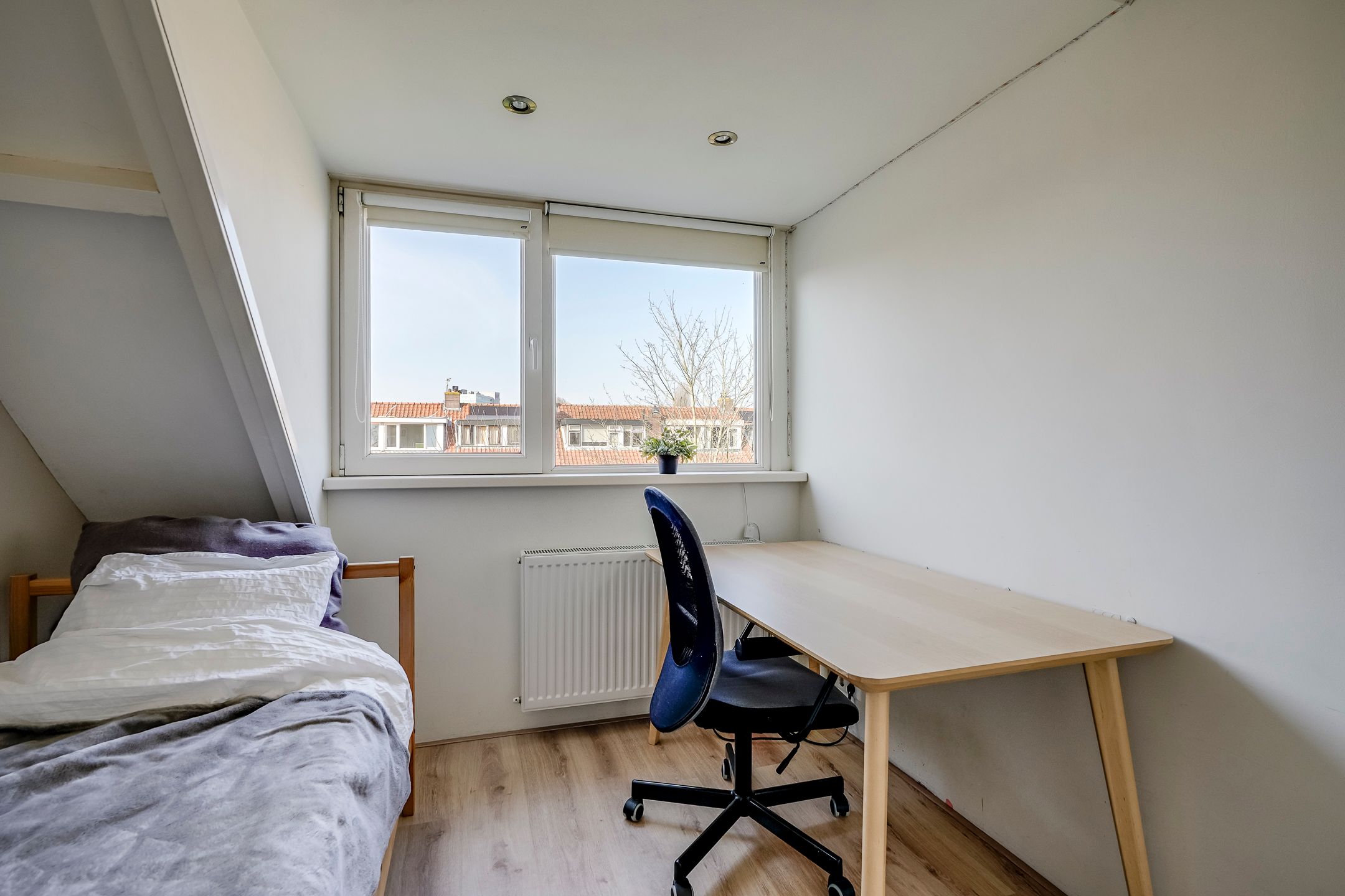 Photo 39 of Prof. Hugo de Vrieslaan 3