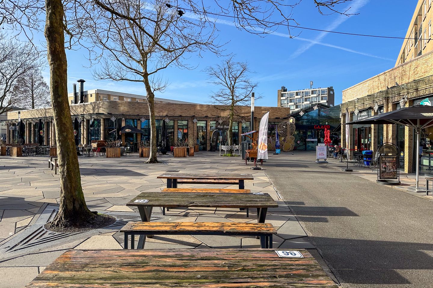 Photo 49 of Prof. Hugo de Vrieslaan 3