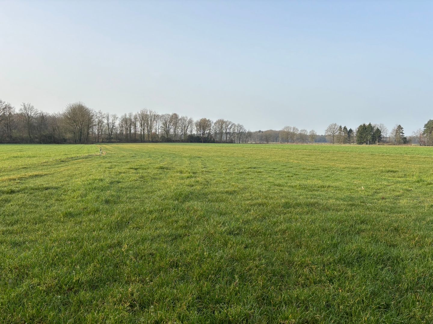 Bekijk foto 5 van Wintelresedijk