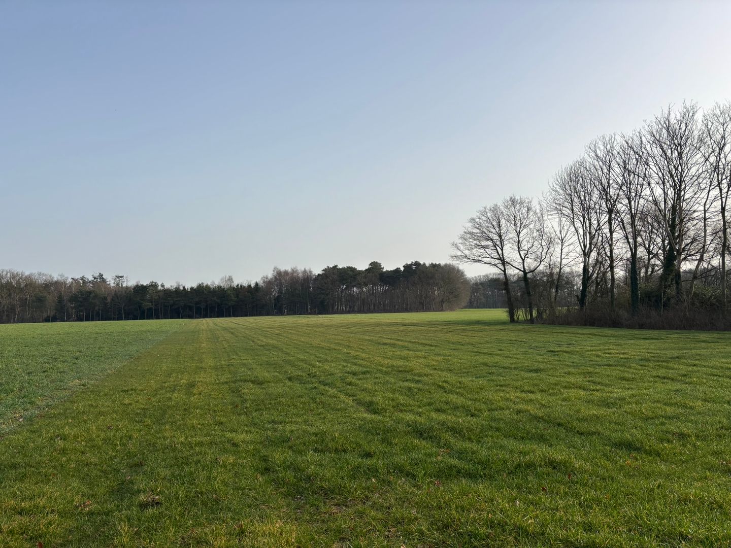 Bekijk foto 4 van Wintelresedijk