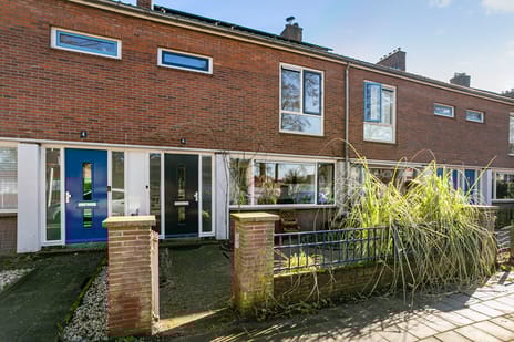 undefined main image