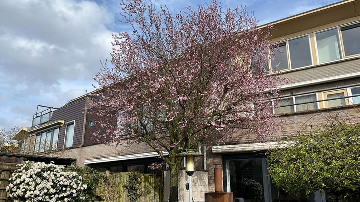 Foto 4 van Kazemat 50
