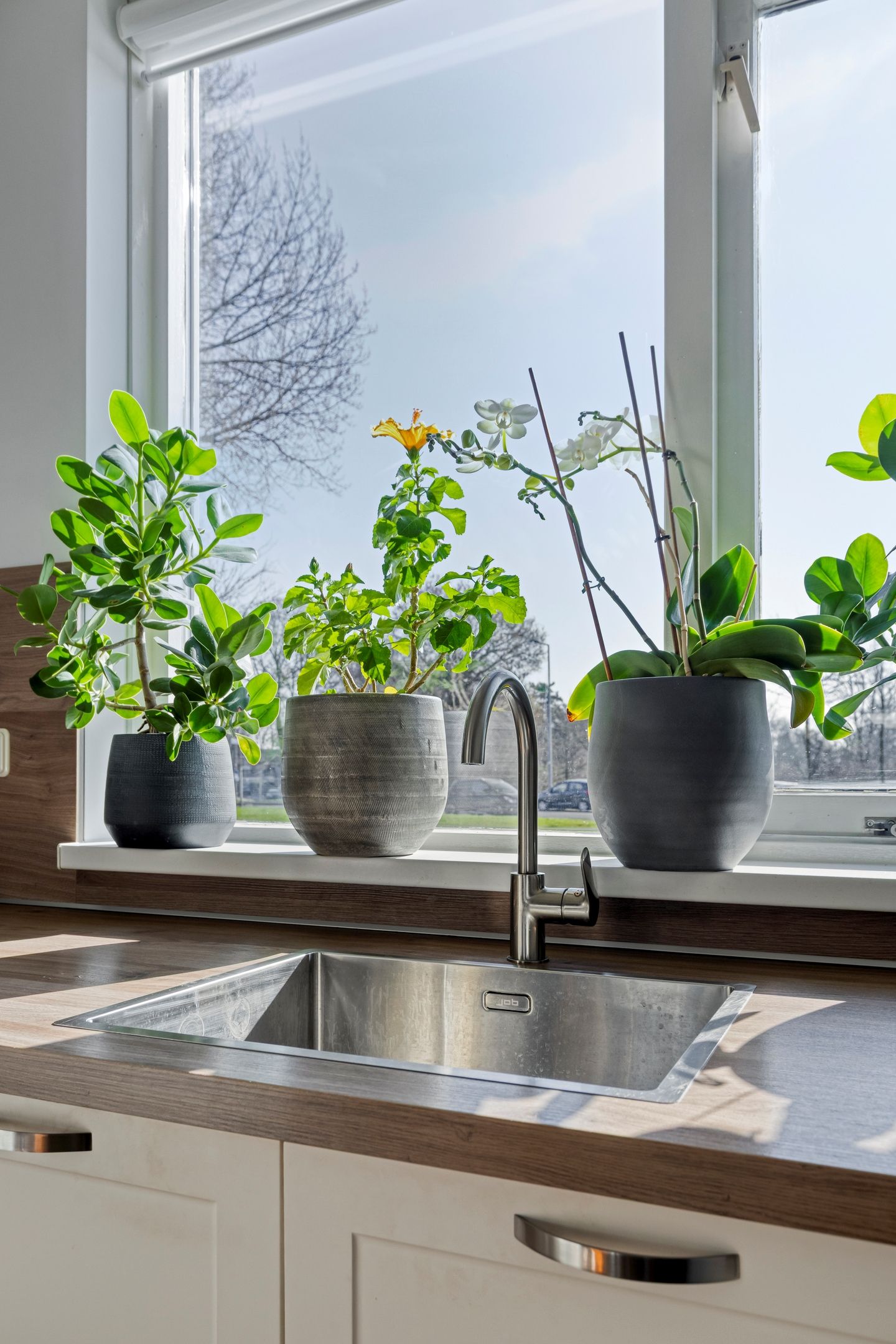 Foto 18 van Hoekse Hillweg 199