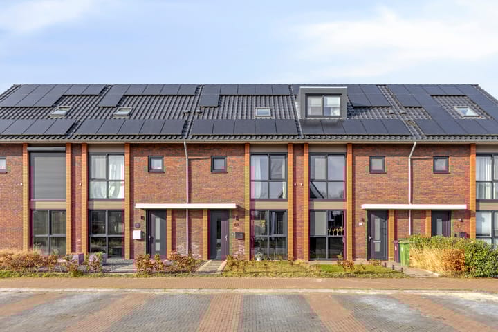 Sleutelbloem 69 main image