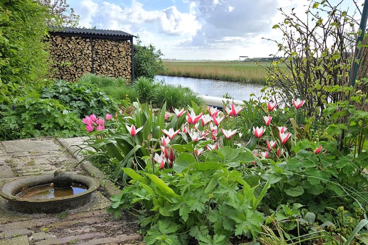 Foto 5 van Draversdyk 2