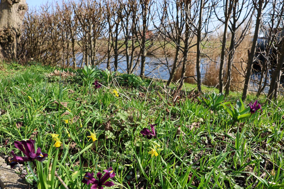 Foto 7 van Draversdyk 2