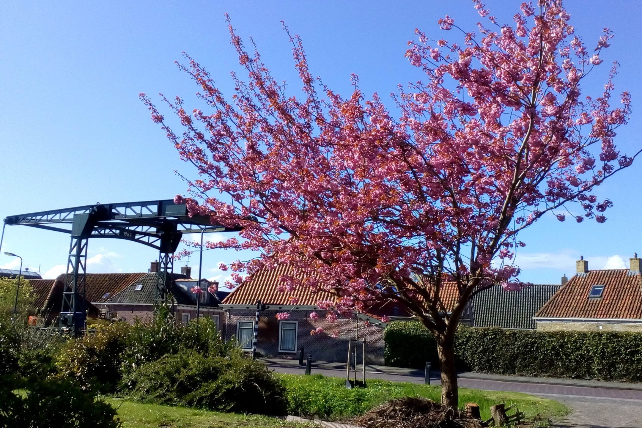 Foto 27 van Draversdyk 2