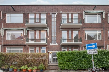 Nicolaas Ruyschstraat thumbnail