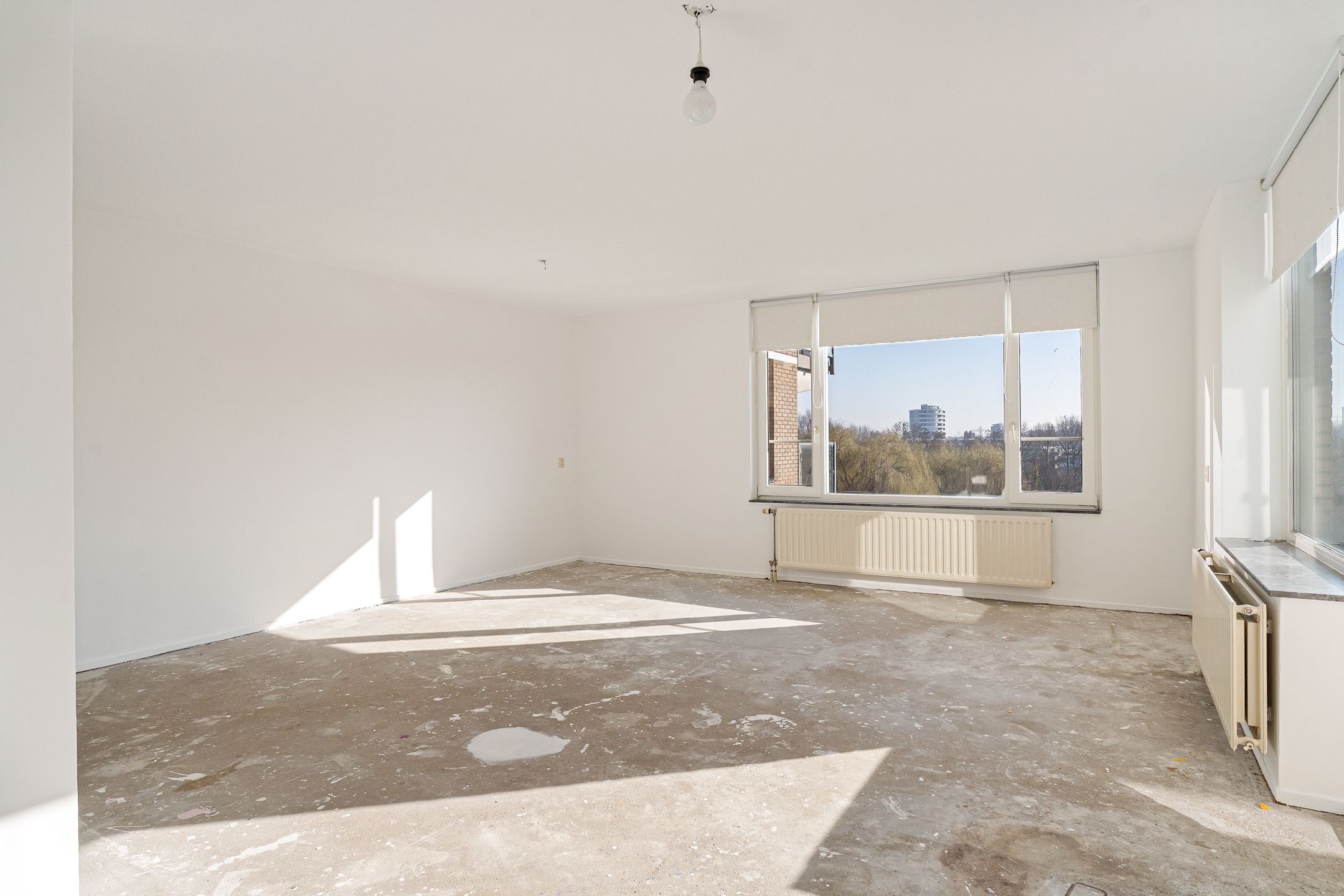 Foto 12 van Zuster Meijboomstraat 145