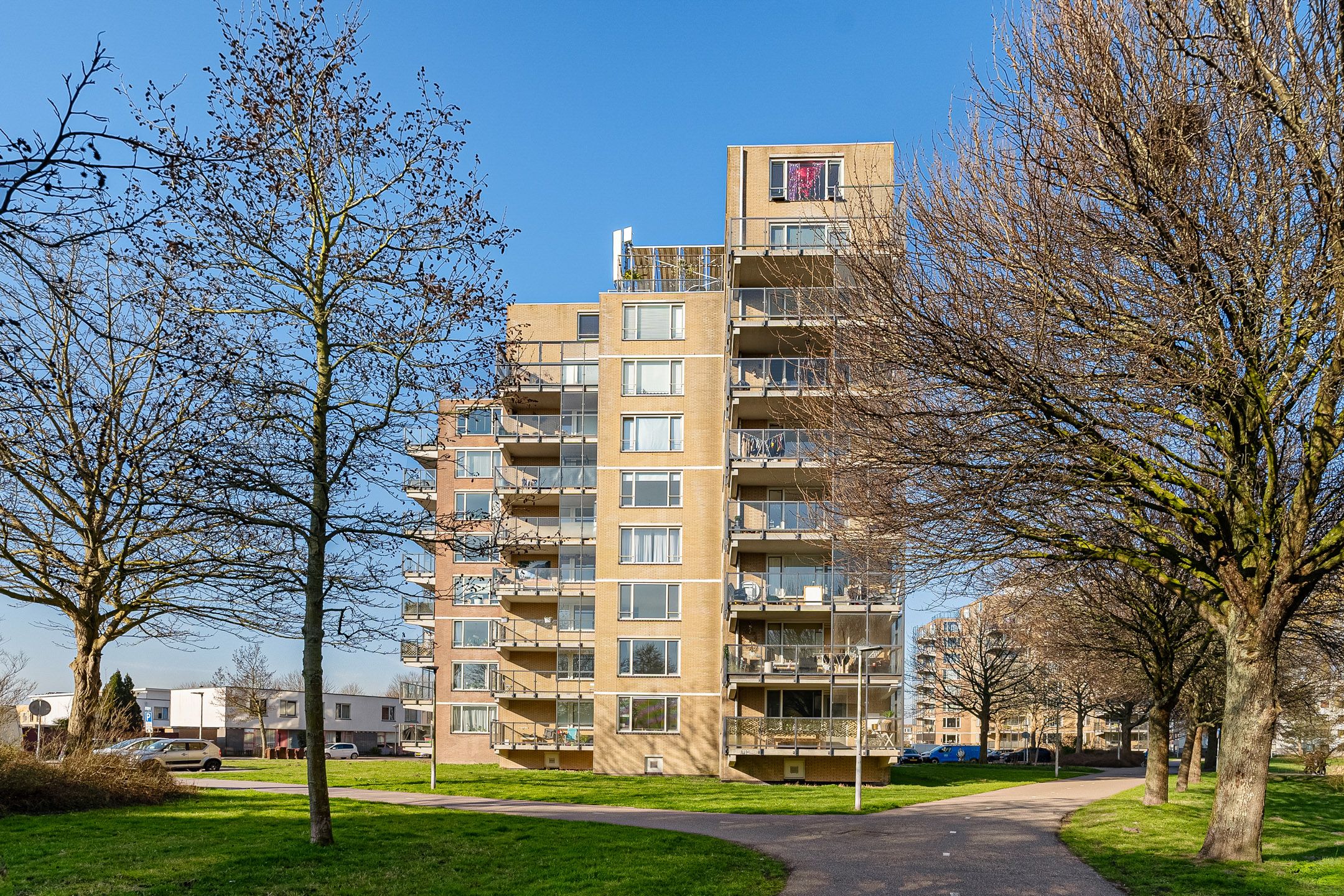 Foto 36 van Zuster Meijboomstraat 145