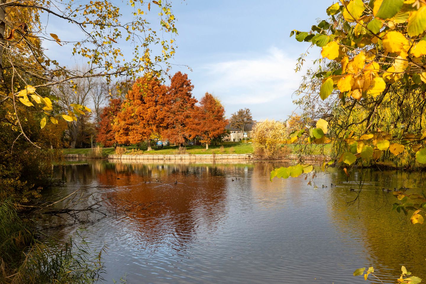 Foto 44 van Biesven 3