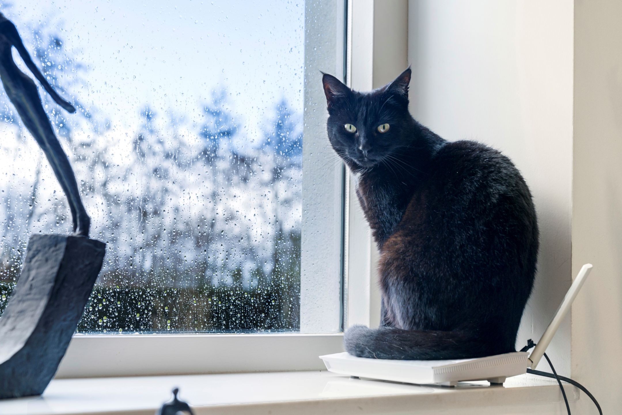 Photo 6 of Runselstraat 10