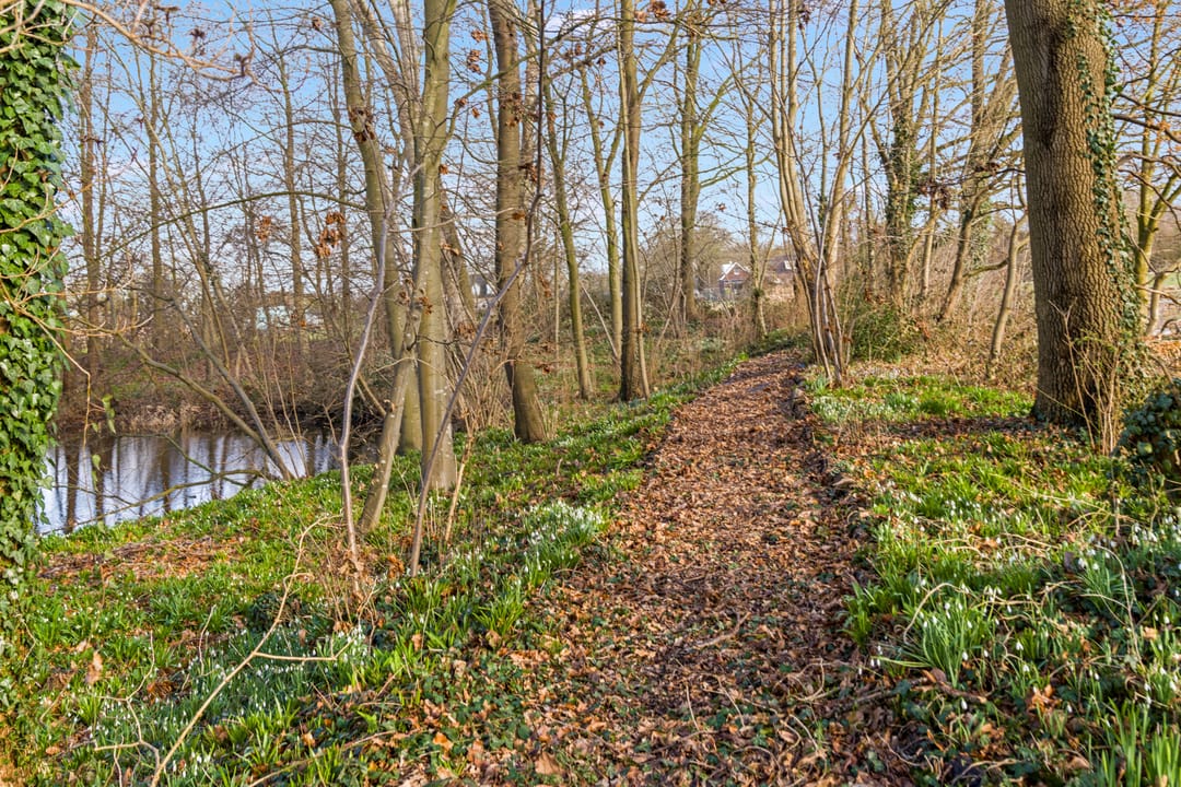 Photo 37 of Runselstraat 10