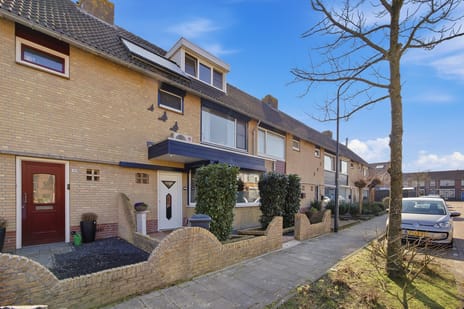 Narcissenstraat thumbnail