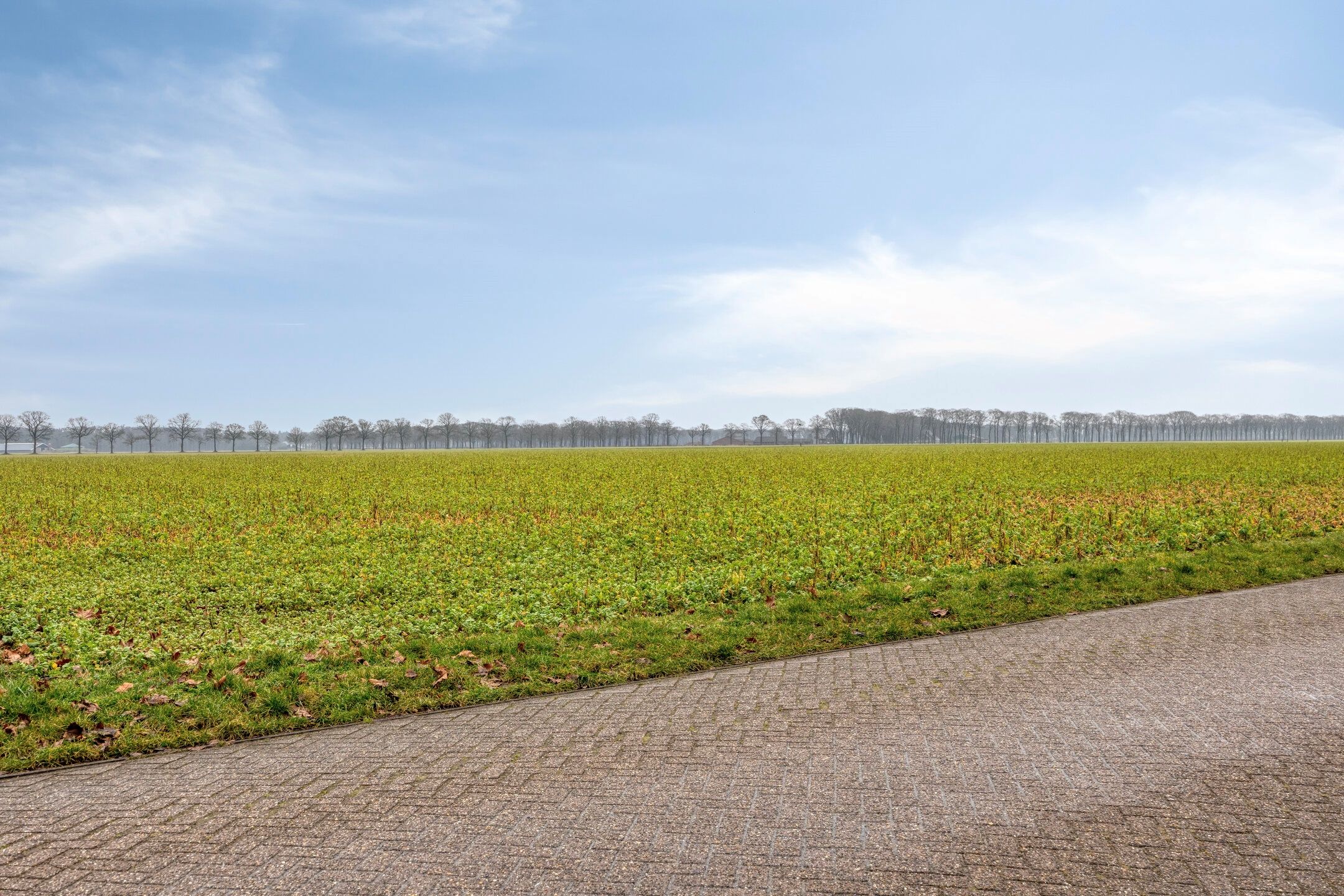 Photo 36 of Blaarpeelweg 2