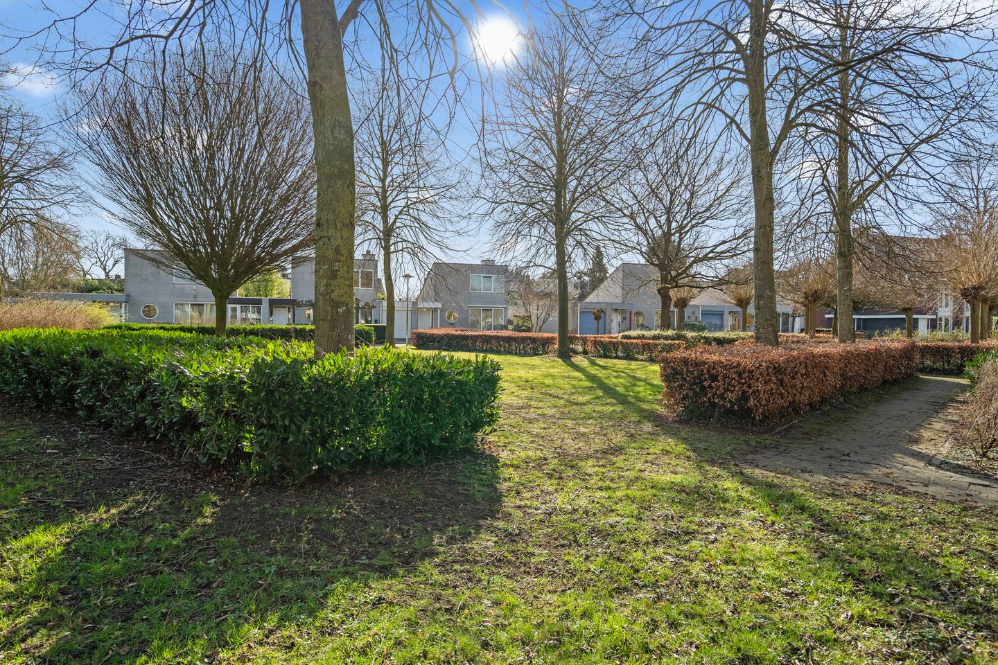 Foto 49 van Dampkring 2