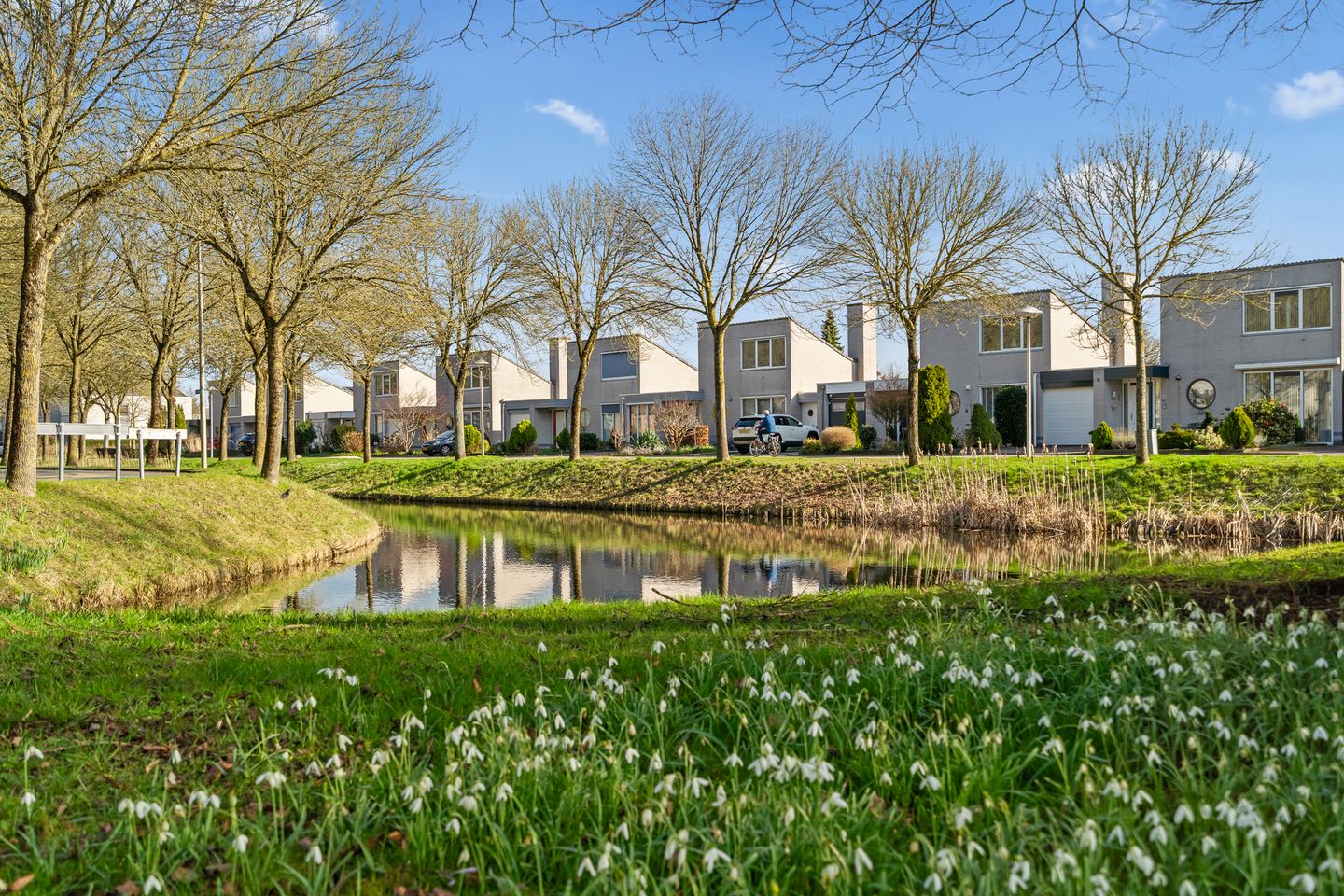 Foto 50 van Dampkring 2